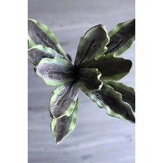 Óriás Műnövények