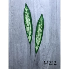 Szálas levelek, Ágak, Szárak