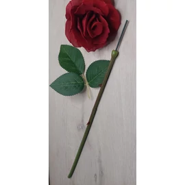 Harisnyavirag kellek, hobbikellek, harisnya, muzold, muvirag, tulipan