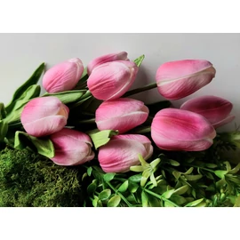 Harisnyavirag kellek, hobbikellek, harisnya, muzold, muvirag, tulipan