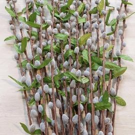 Harisnyavirag kellek, hobbikellek, harisnya, muzold, muvirag, tulipan