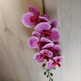 Harisnyavirag kellek, hobbikellek, harisnya, muzold, muvirag, tulipan