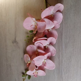 Harisnyavirag kellek, hobbikellek, harisnya, muzold, muvirag, tulipan