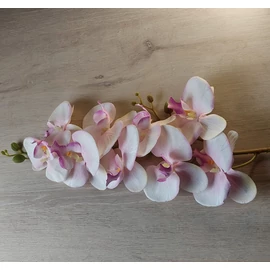 Harisnyavirag kellek, hobbikellek, harisnya, muzold, muvirag, tulipan