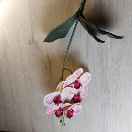 Harisnyavirag kellek, hobbikellek, harisnya, muzold, muvirag, tulipan