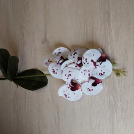 Harisnyavirag kellek, hobbikellek, harisnya, muzold, muvirag, tulipan