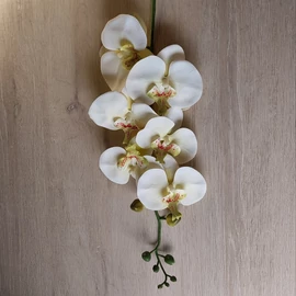 Harisnyavirag kellek, hobbikellek, harisnya, muzold, muvirag, tulipan