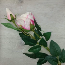 Harisnyavirag kellek, hobbikellek, harisnya, muzold, muvirag, tulipan