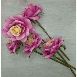 Harisnyavirag kellek, hobbikellek, harisnya, muzold, muvirag, tulipan