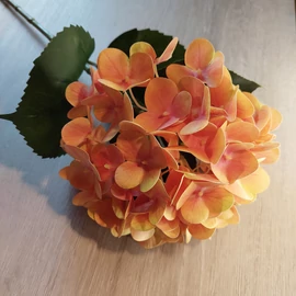 Harisnyavirag kellek, hobbikellek, harisnya, muzold, muvirag, tulipan