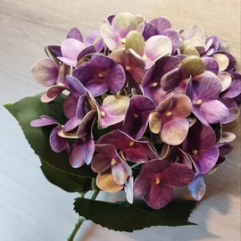 Harisnyavirag kellek, hobbikellek, harisnya, muzold, muvirag, tulipan