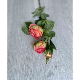 Harisnyavirag kellek, hobbikellek, harisnya, muzold, muvirag, tulipan