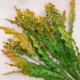 Harisnyavirag kellek, hobbikellek, harisnya, muzold, muvirag, tulipan