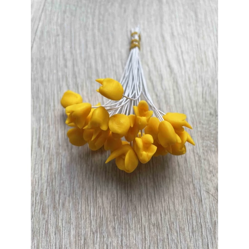 Harisnyavirag kellek, hobbikellek, harisnya, muzold, muvirag, tulipan