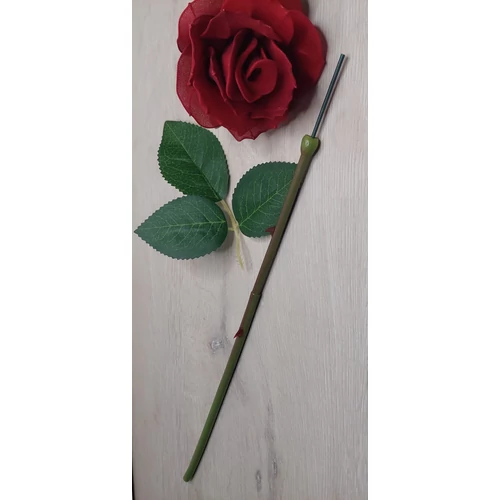 Harisnyavirag kellek, hobbikellek, harisnya, muzold, muvirag, tulipan