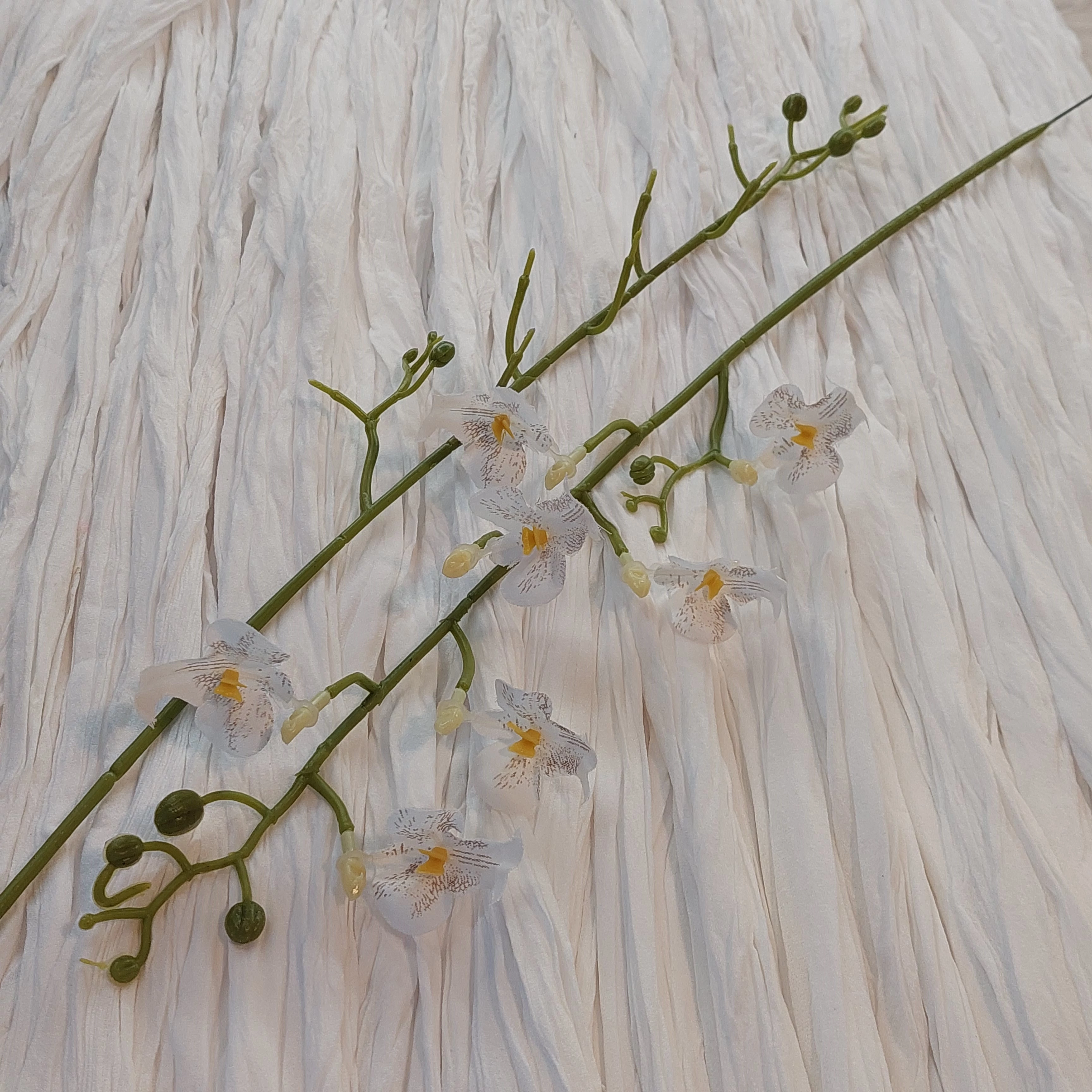 Lepke Orchidea belső fehér