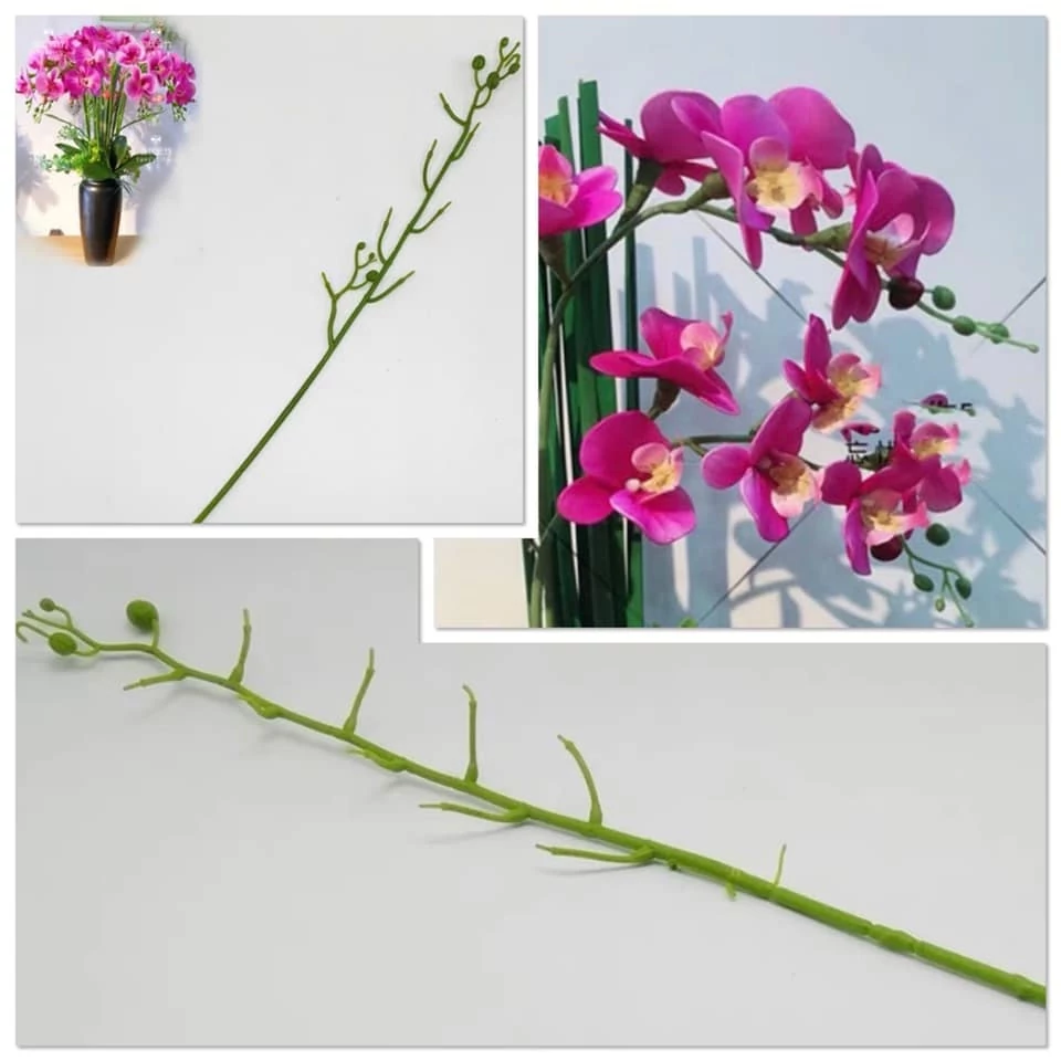Lepke orchidea szár